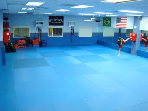 The Freestyle Fighting Academy facility image