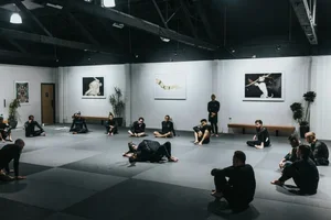 TRIBE JIU JITSU AND KICKBOXING academy photo