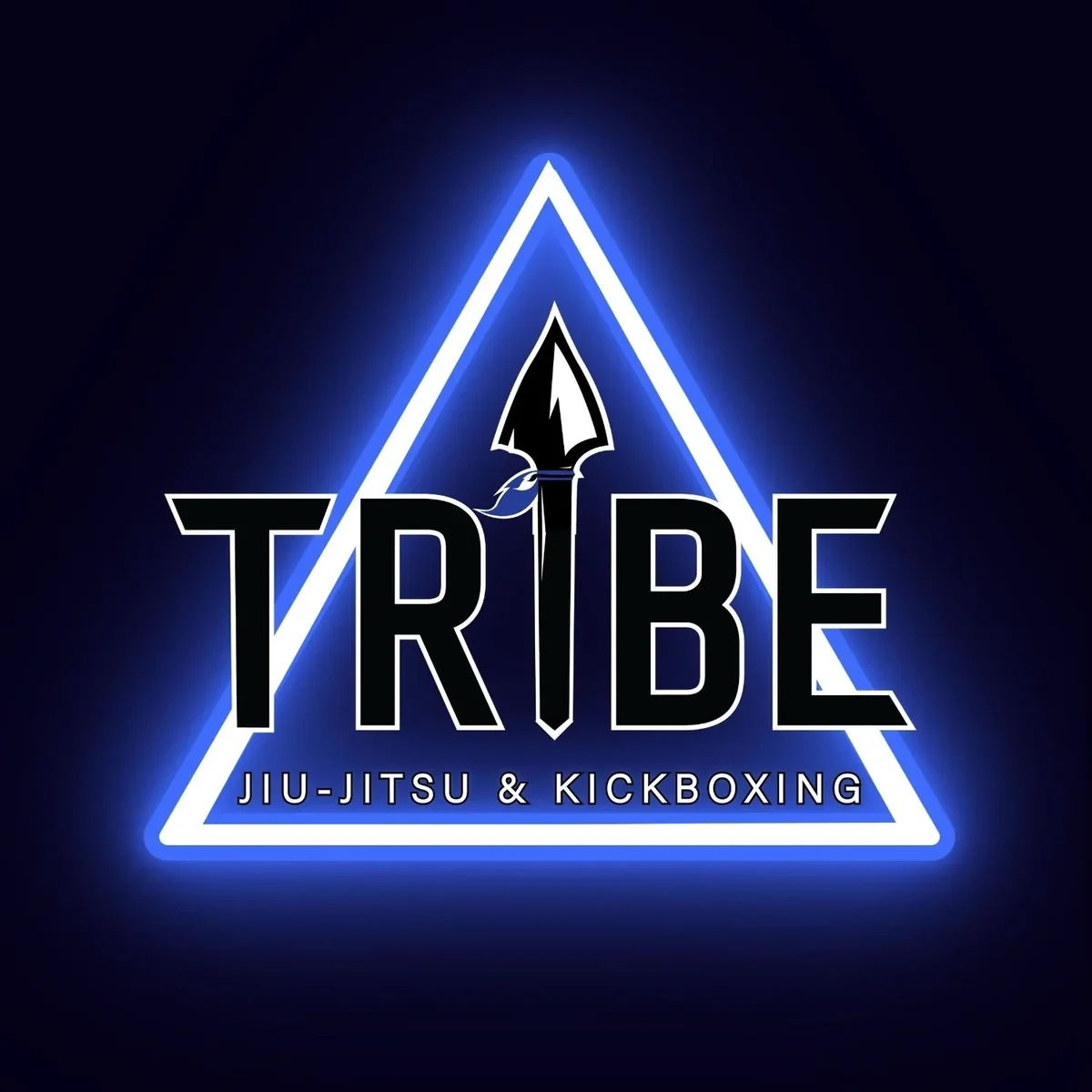 TRIBE JIU JITSU AND KICKBOXING academy photo