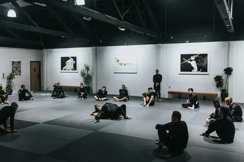 TRIBE JIU JITSU AND KICKBOXING academy photo