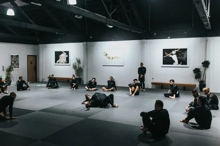 TRIBE JIU JITSU AND KICKBOXING academy photo