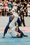 TRIBE JIU JITSU AND KICKBOXING academy photo