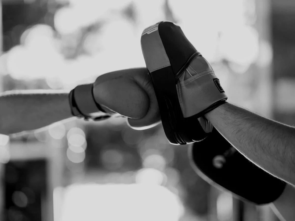 TRIBE JIU JITSU AND KICKBOXING academy photo