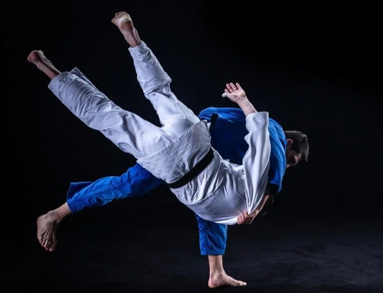 United Legion Brazilian Jiu-Jitsu LLC (ULBJJ) academy photo