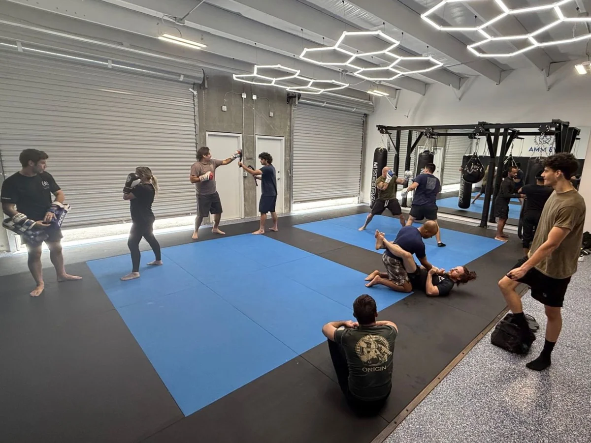 V3 MMA Gym & Fitness facility image