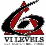 VI Levels Orlando academy logo