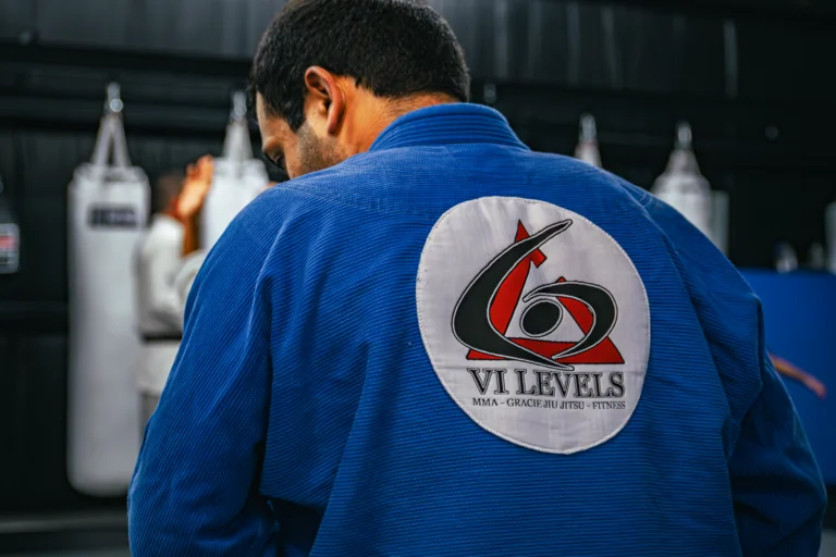 VI Levels Orlando academy photo