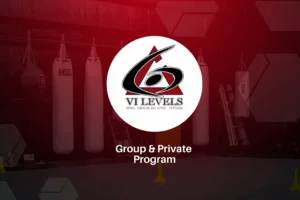 VI Levels Orlando academy photo