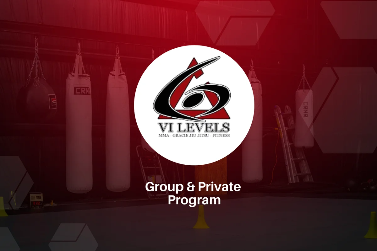 VI Levels Orlando academy photo