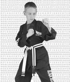 World Champion Center WCC Taekwondo Martial Arts School academy photo