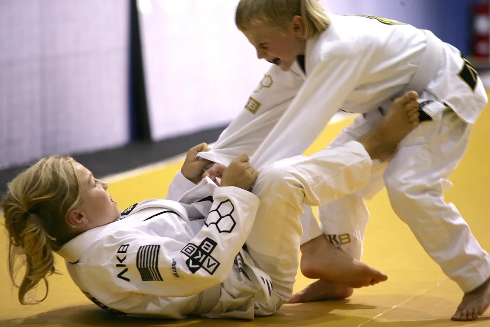 American Mixed Martial Arts academy photo