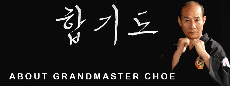 Choe's HapKiDo Martial Arts facility image