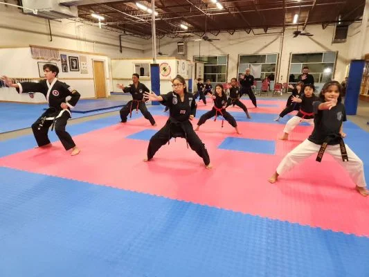 Decatur Martial Arts Academy academy photo