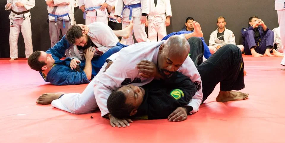 Devine Jiu Jitsu visual