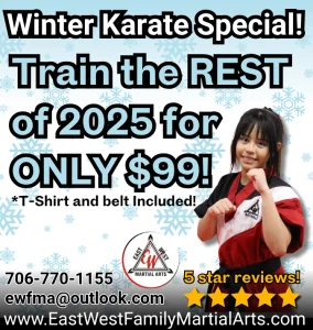 East West Martial Arts academy photo