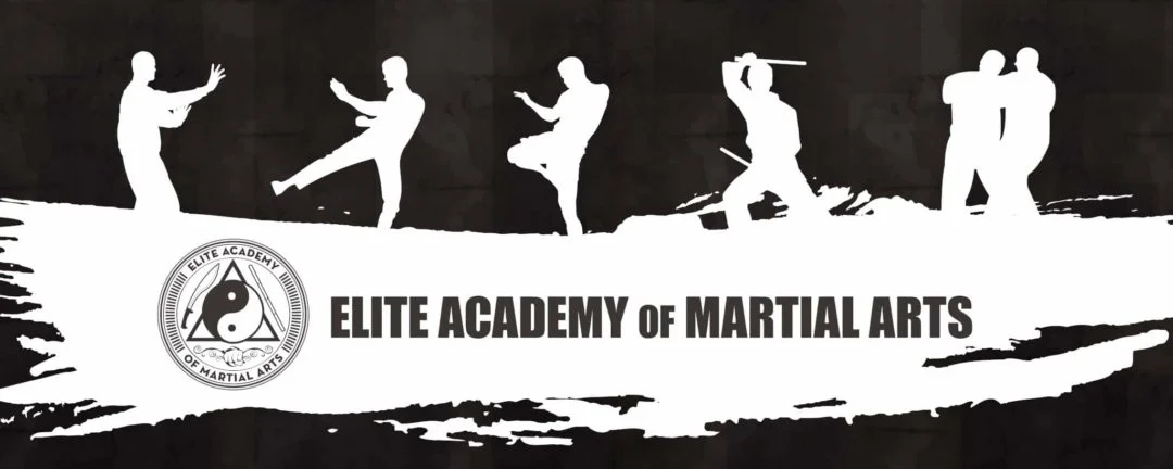 Elite Academy Of Martial Arts academy photo