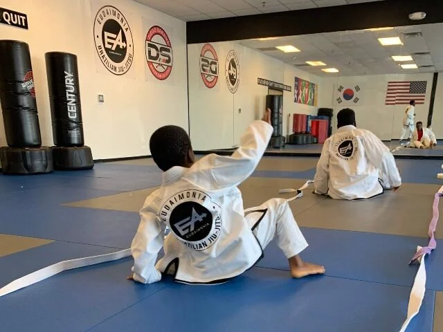 Eudaimonia Brazilian Jiu Jitsu academy photo
