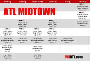 Evolution X Martial Arts academy photo