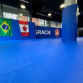 Gracie Barra South Forsyth facility image