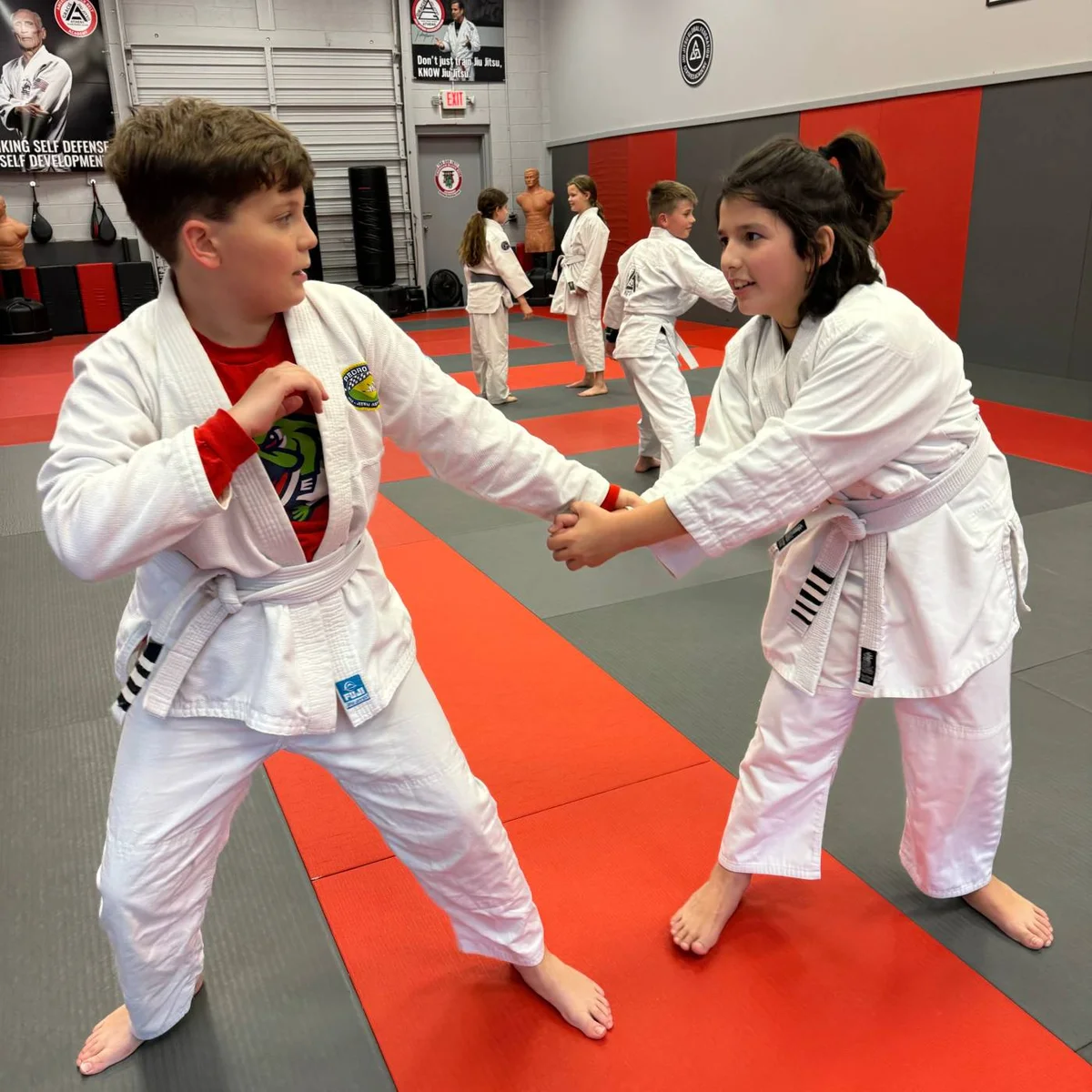 Gracie Jiu Jitsu Athens academy photo