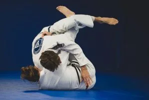 Gracie Jui-Jitsu Balance Academy academy photo
