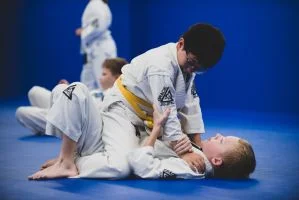 Gracie Jui-Jitsu Balance Academy academy photo