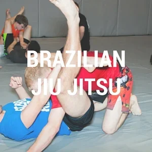 Greubel's Mixed Martial Arts visual
