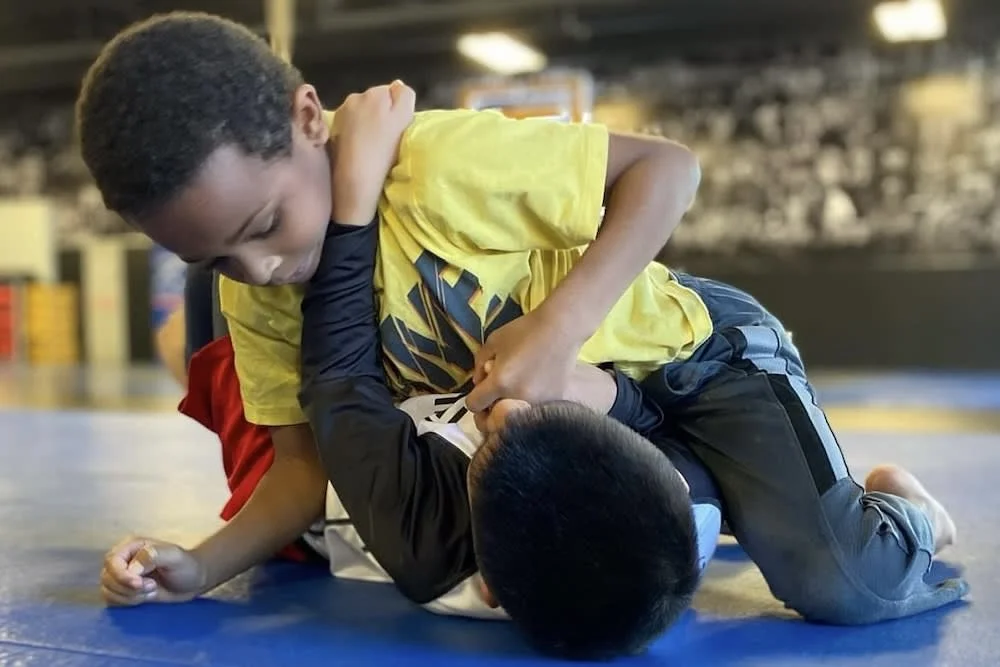 Gwinnett Training Academy visual