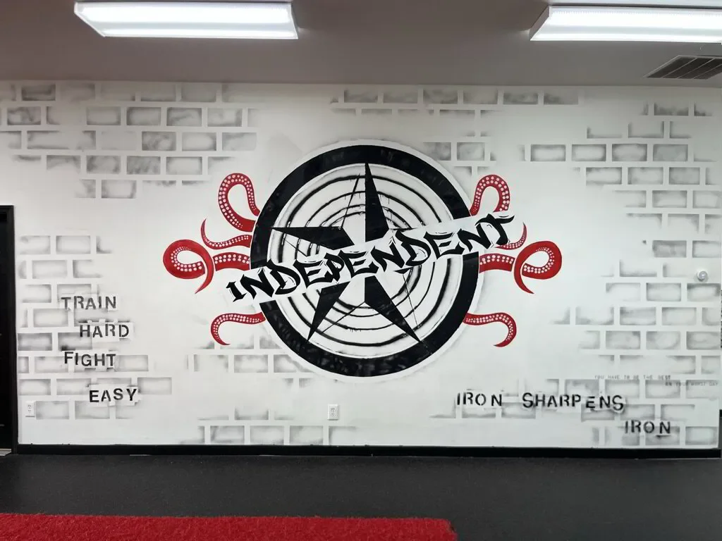 Independent MMA & Fitness of Villa Rica visual