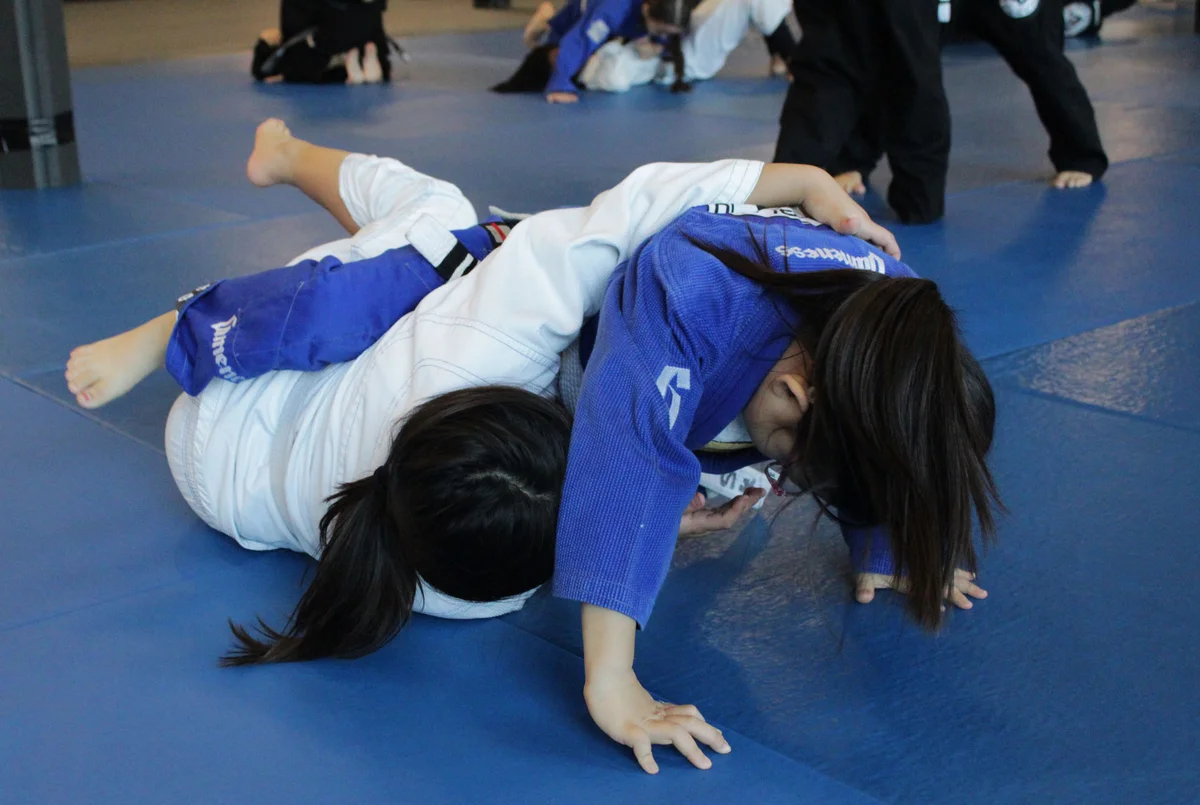 Ironborn Jiu-Jitsu academy photo