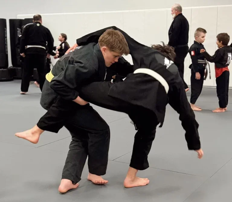 Laviano Jiu Jitsu academy photo