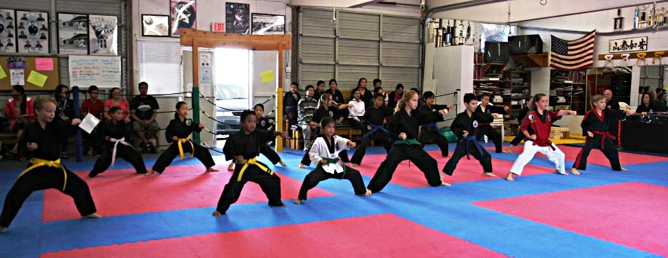 Kim's Martial Arts visual