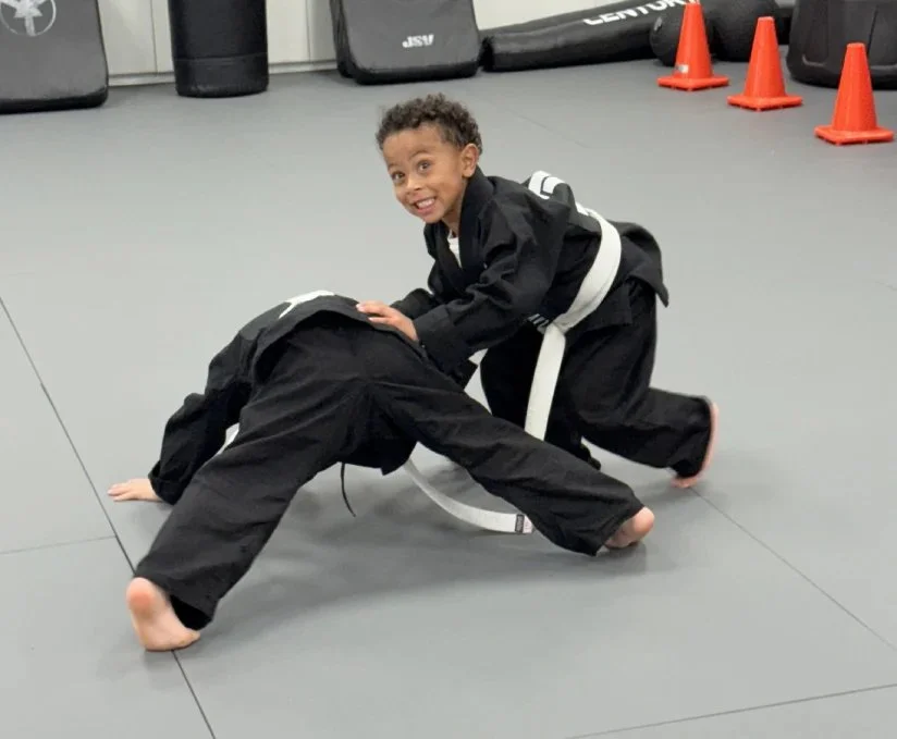 Laviano Jiu Jitsu academy photo