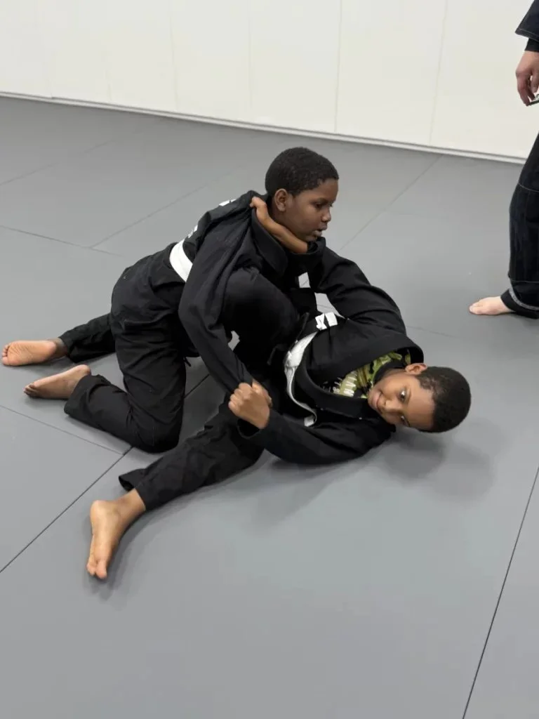 Laviano Jiu Jitsu academy photo