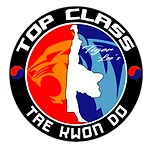 Master Lee's Top Class Taekwondo / US Black Belt Academy academy logo