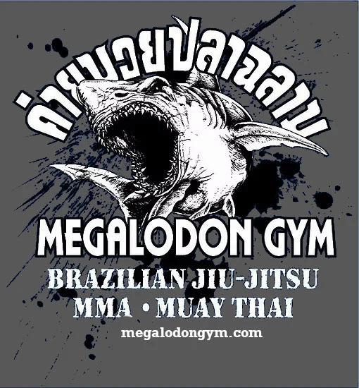 Megalodon Gym academy photo
