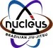 Nucleus Brazilian Jiu Jitsu academy photo