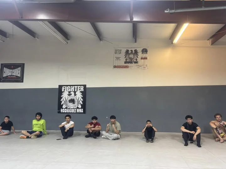 Rodriguez MMA visual