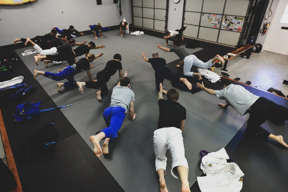 BRAZILIAN JIU JITSU & FITNESS visual