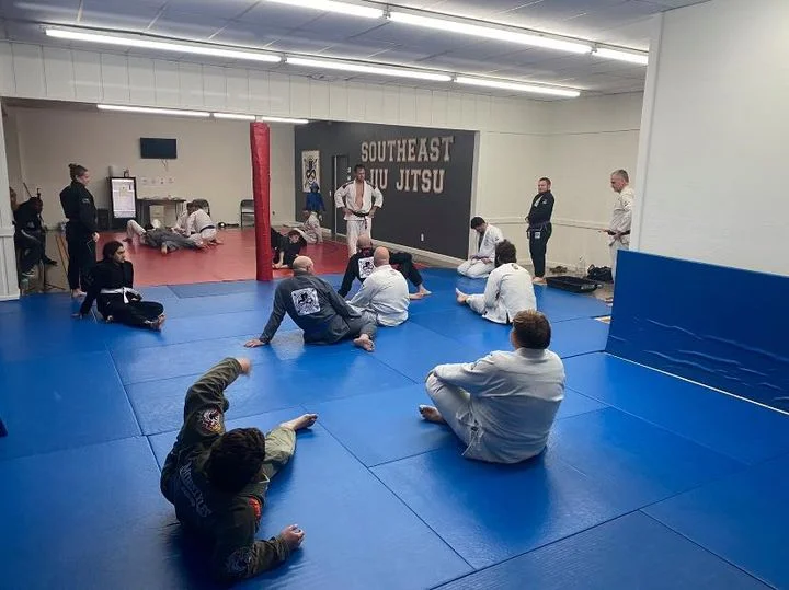 SOUTHEAST JIU JITSU academy photo