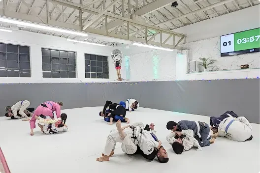 Super Fly Jiu-Jitsu academy photo