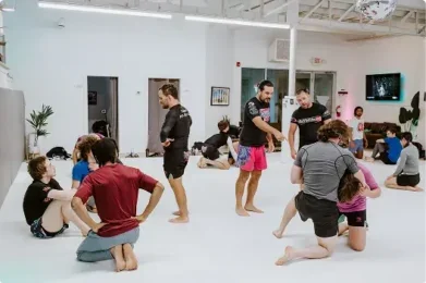 Super Fly Jiu-Jitsu visual