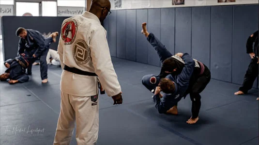 Team Mongoose BJJ academy photo
