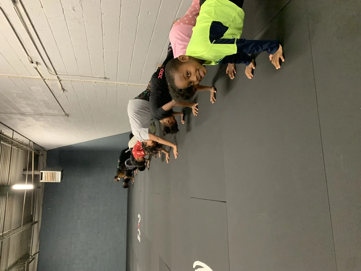Temporal Brazilian Jiu Jitsu academy logo