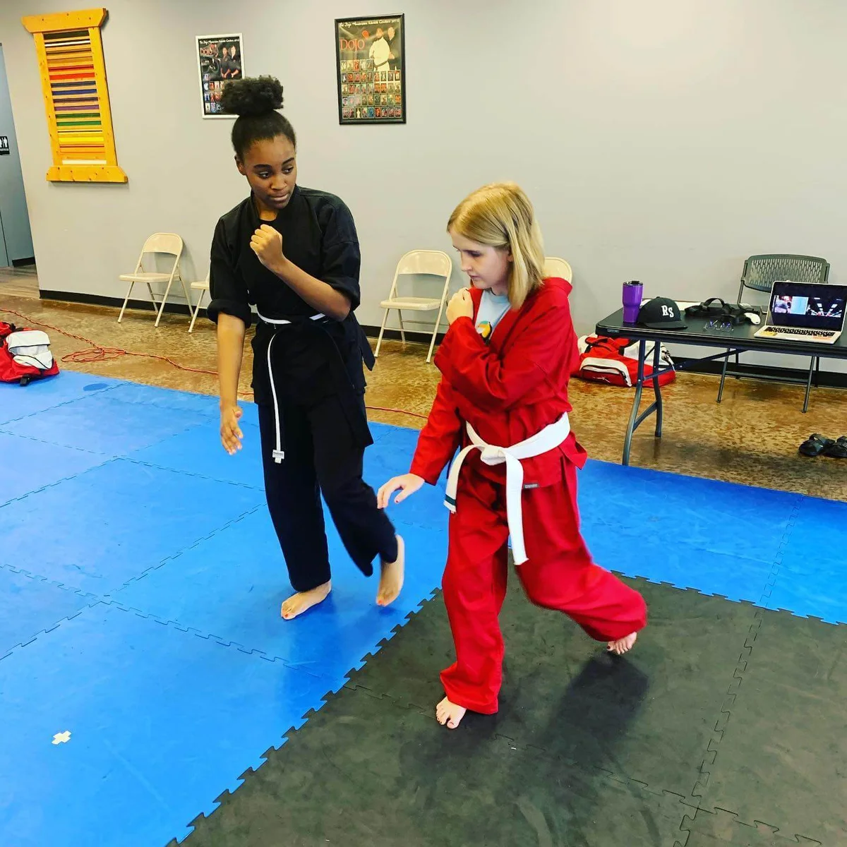 The Dojo American Karate Centers visual
