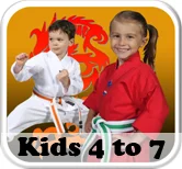 The Dojo - American Karate Centers academy photo