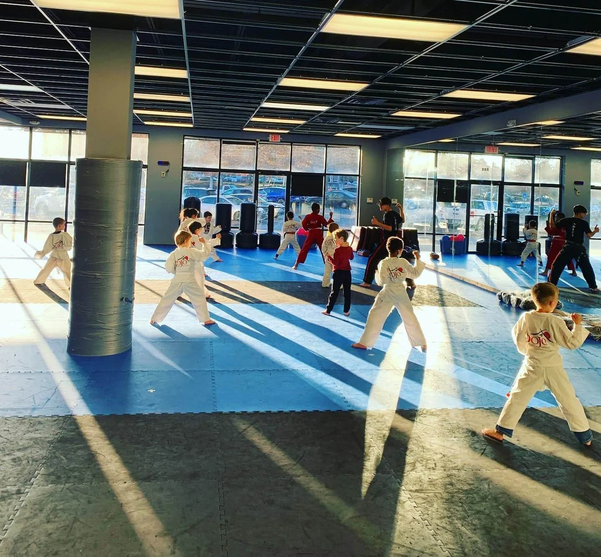 The Dojo American Karate Centers academy photo