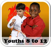 The Dojo - American Karate Centers academy photo