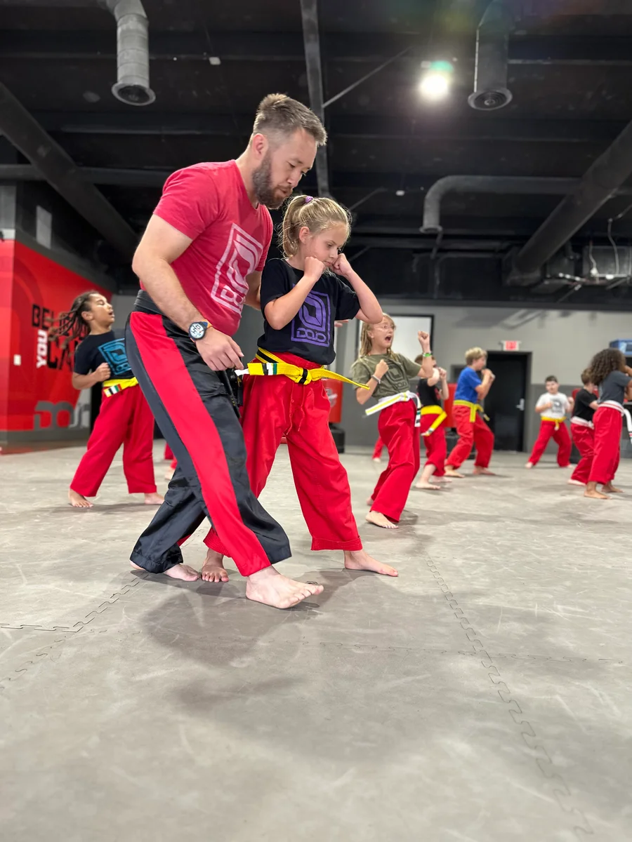 The Dojo academy photo