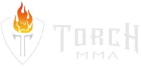 Torch MMA & Fitness academy photo